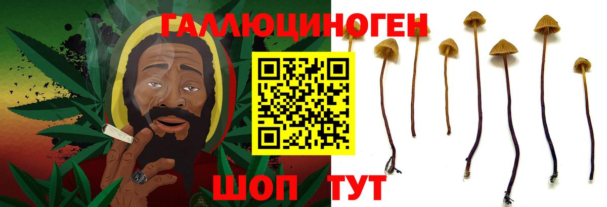 Псилоцибиновые грибы мухоморы  Псилоцибиновые грибы мухоморы  закладки  Вход с VPN  Кашира 